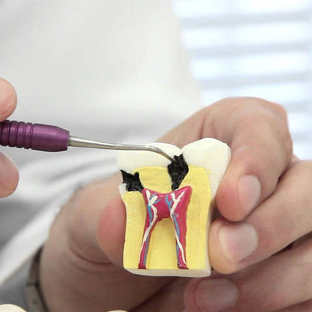 Endodontia