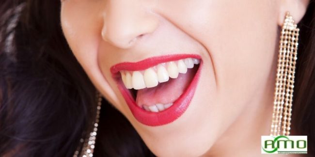 dentição humana